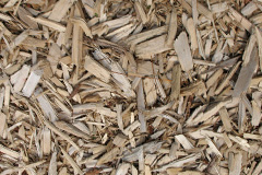 biomass boilers Evanton