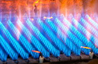 Evanton gas fired boilers